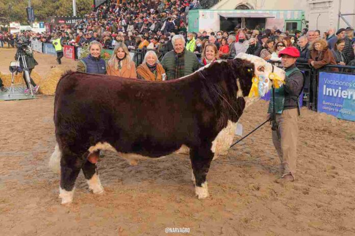 Remate Hereford