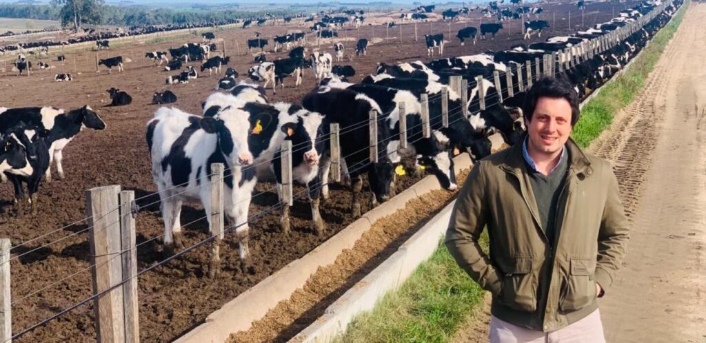 Exportación de vaquillonas Holando a Turquía