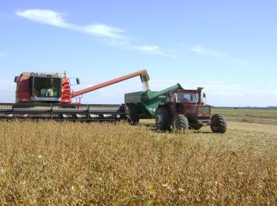 Cosecha de Soja en Argentina