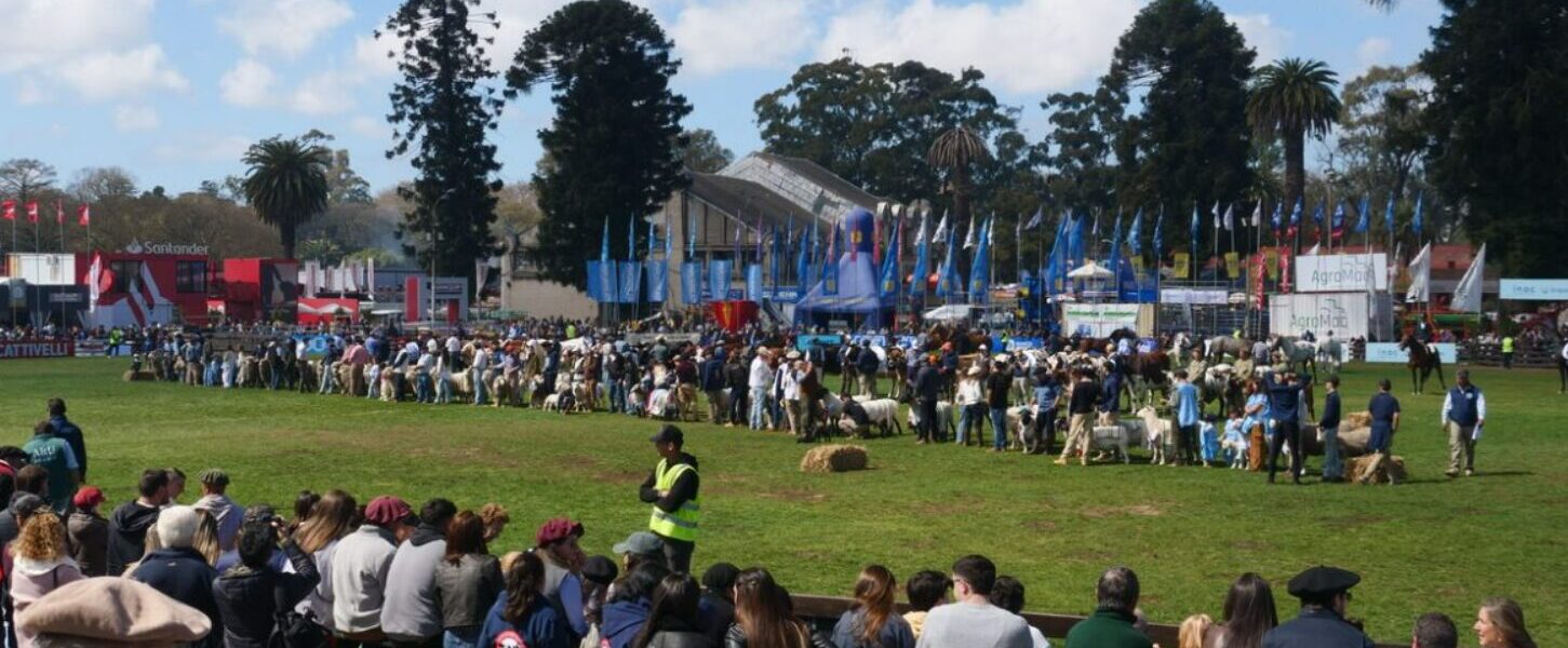 Imágenes de la Expo Prado 2024