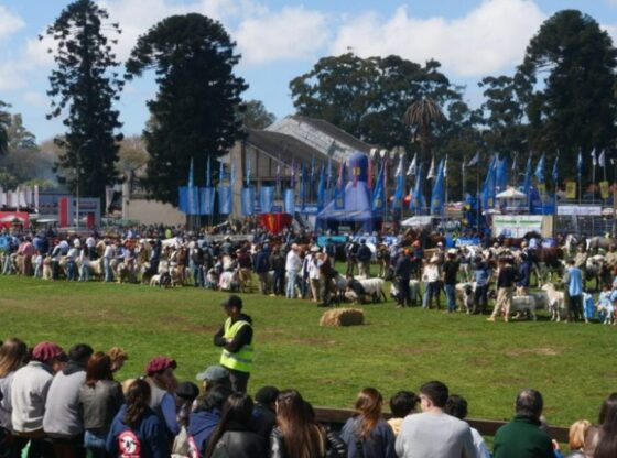 Imágenes de la Expo Prado 2024