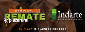 Indarte Negocios Rurales