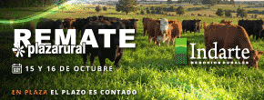 Indarte Negocios Rurales